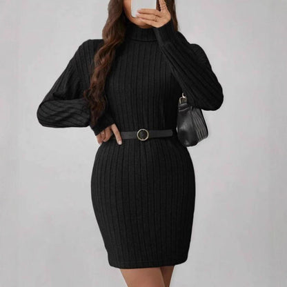 Women's Sunken Stripe Fleece Turtleneck Slim Dress